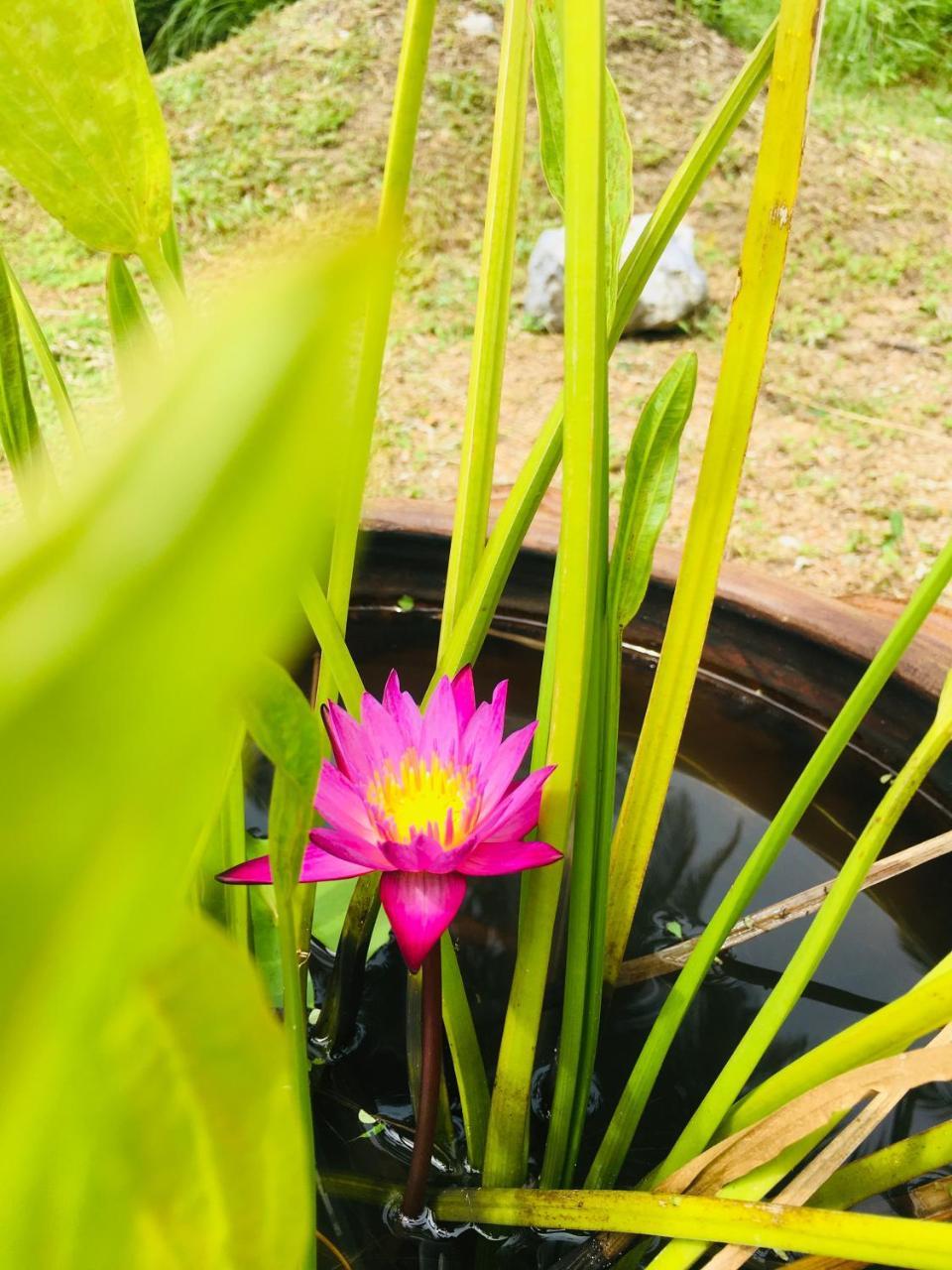Khao Lak Golden Coconut Hotel Ngoại thất bức ảnh